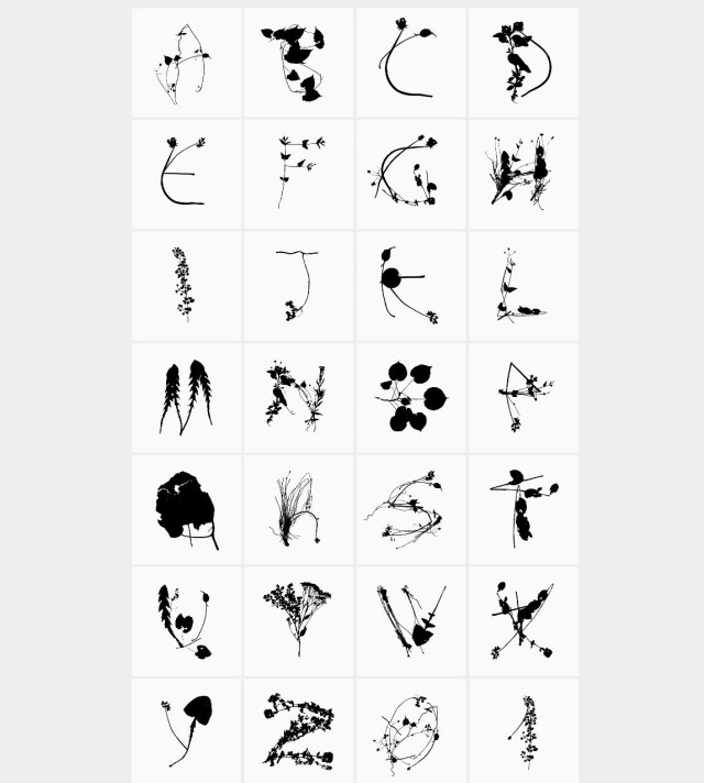 Шрифт Aceae - CO:CREATE