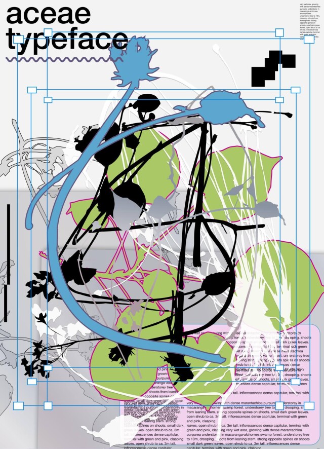 Шрифт Aceae - CO:CREATE 4