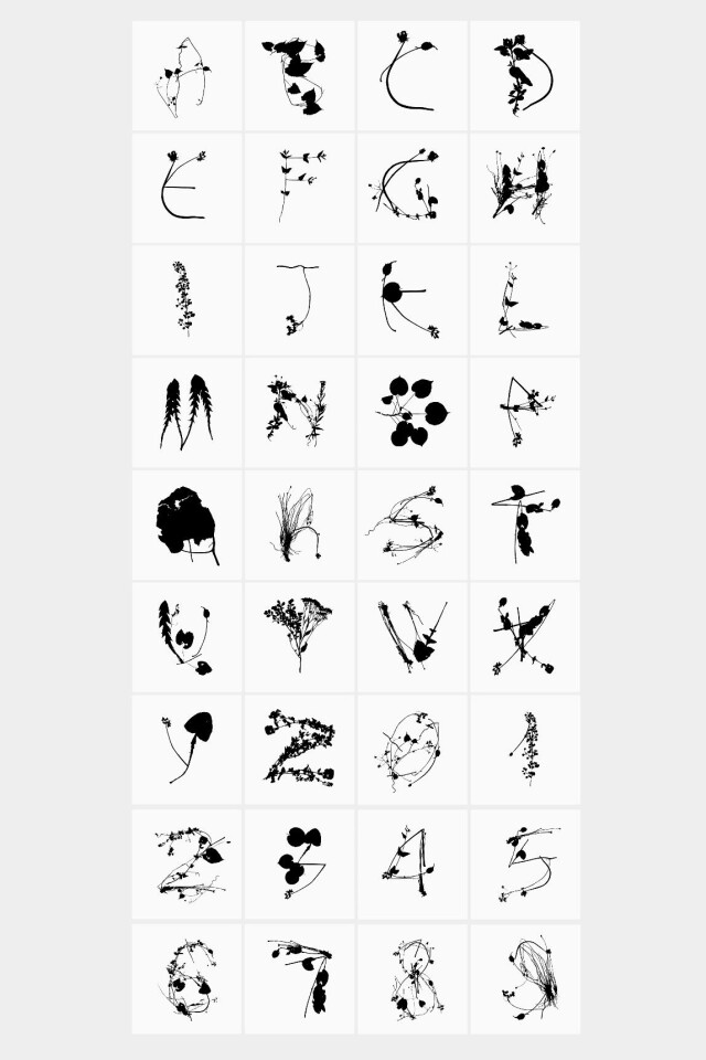 Шрифт Aceae - CO:CREATE 1