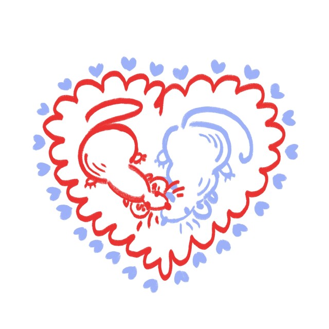 rat love - CO:CREATE