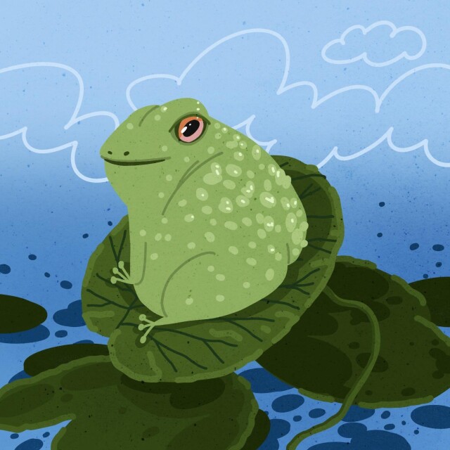 🐸 - CO:CREATE