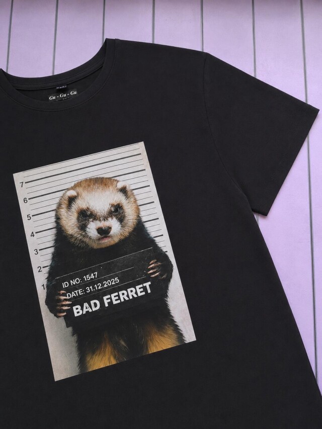 Ferret Les - CO:CREATE 1
