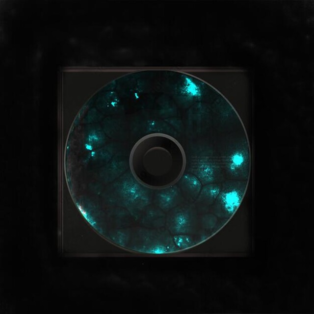EGOR - CO:CREATE 2