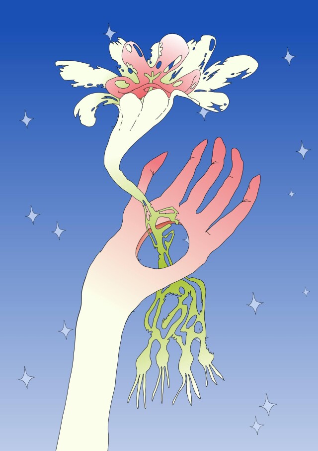 My favorite flower - CO:CREATE 2