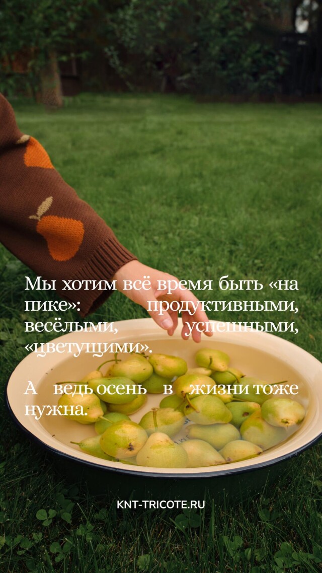 Капсула "САД" - CO:CREATE 8