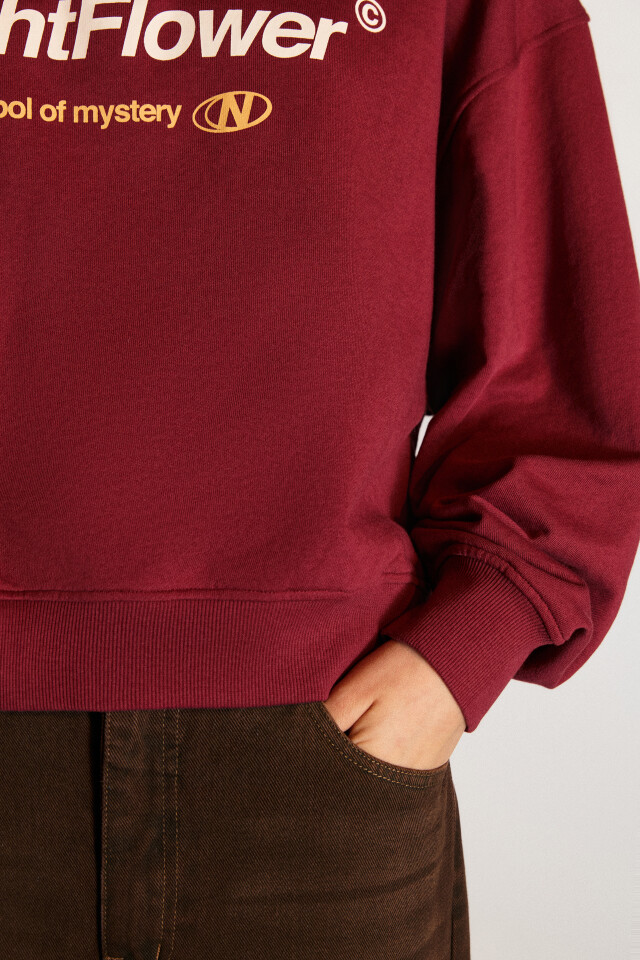 Толстовка half zip из футера с принтом - цвет бордовый - 7